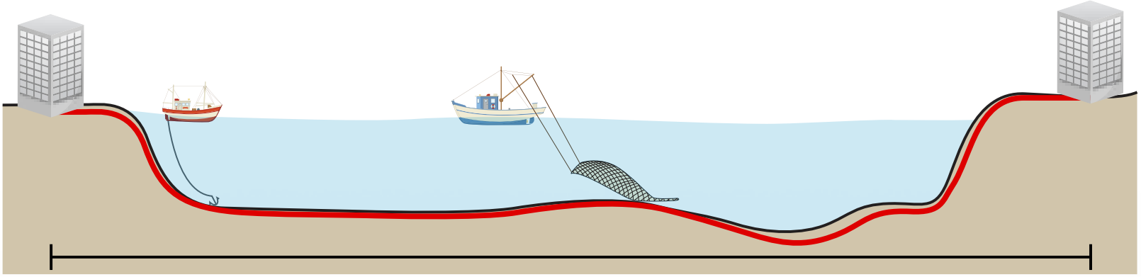 Submarine Cable Damage Causes Submarine Cable Damage Causes