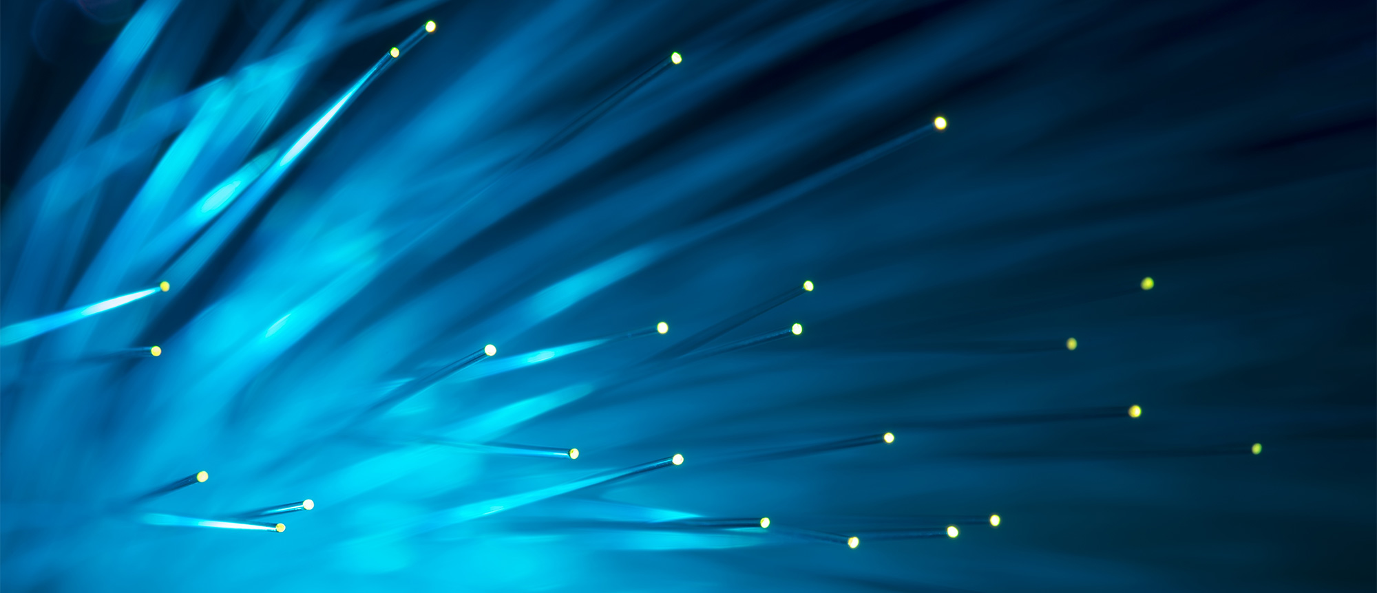 Fiber everywhere